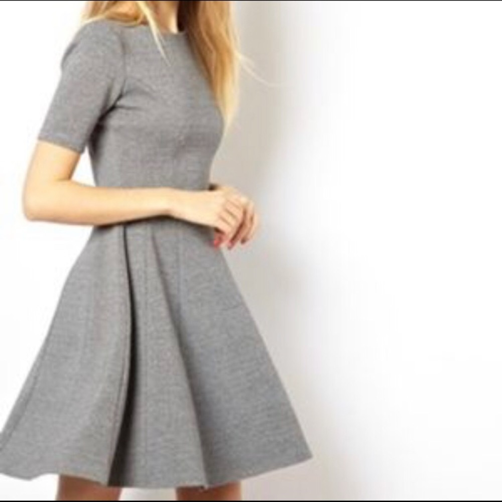 Brand new: Zara Office skater dress grey